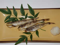 めひかり干物